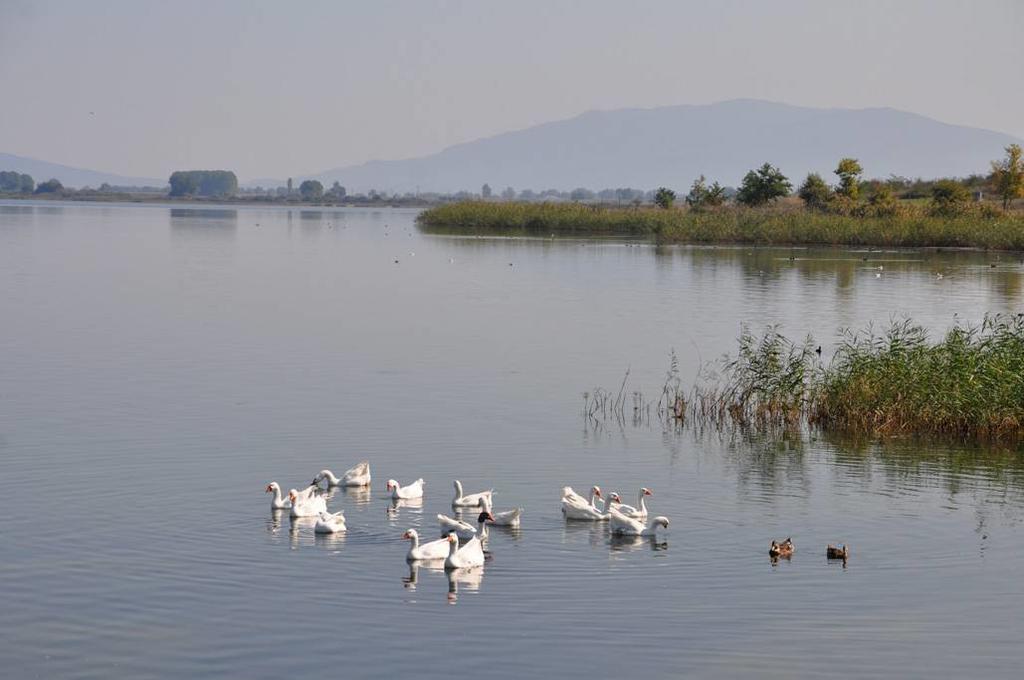 Philoxenia Beach Vrasná Kültér fotó